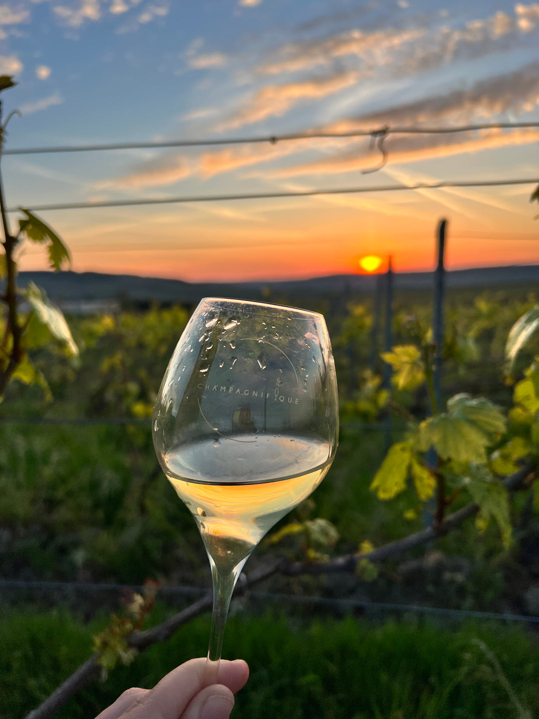 Mijn advies voor de beste champagne...