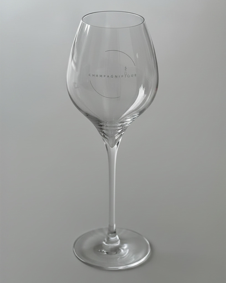Masterclass 22 Champagneglazen by Italesse