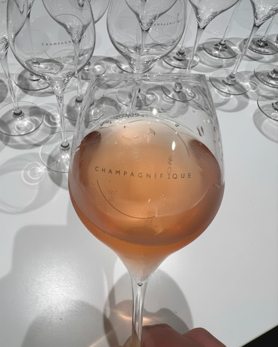 Masterclass 22 Champagneglazen by Italesse